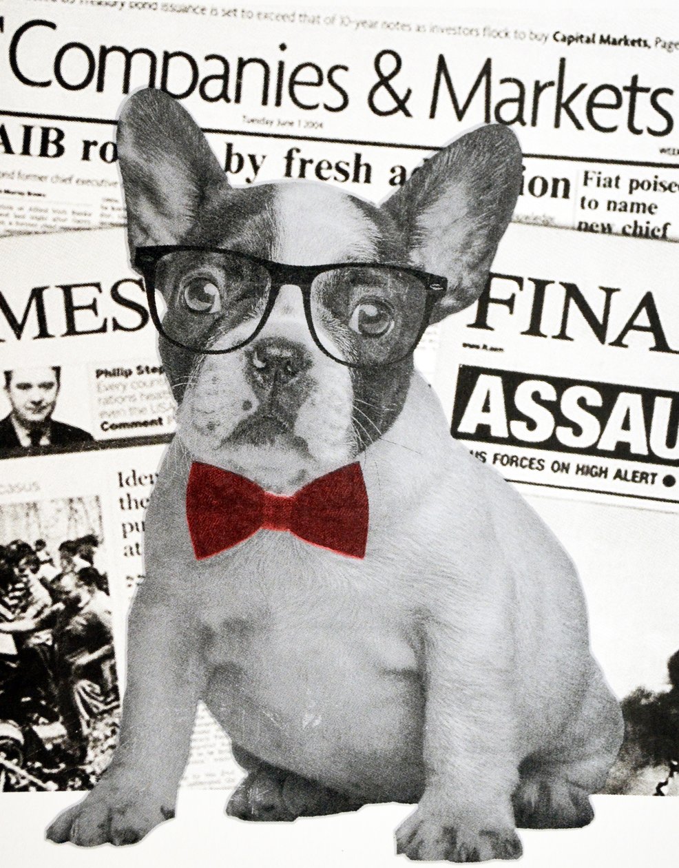 Wall street dog, 2015 作者 安妮取消
