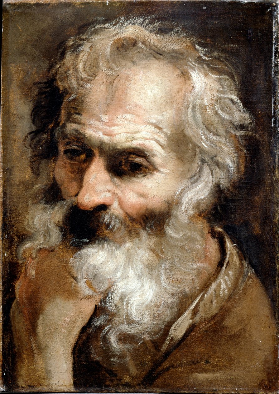 一位老人的头 作者 Annibale Carracci