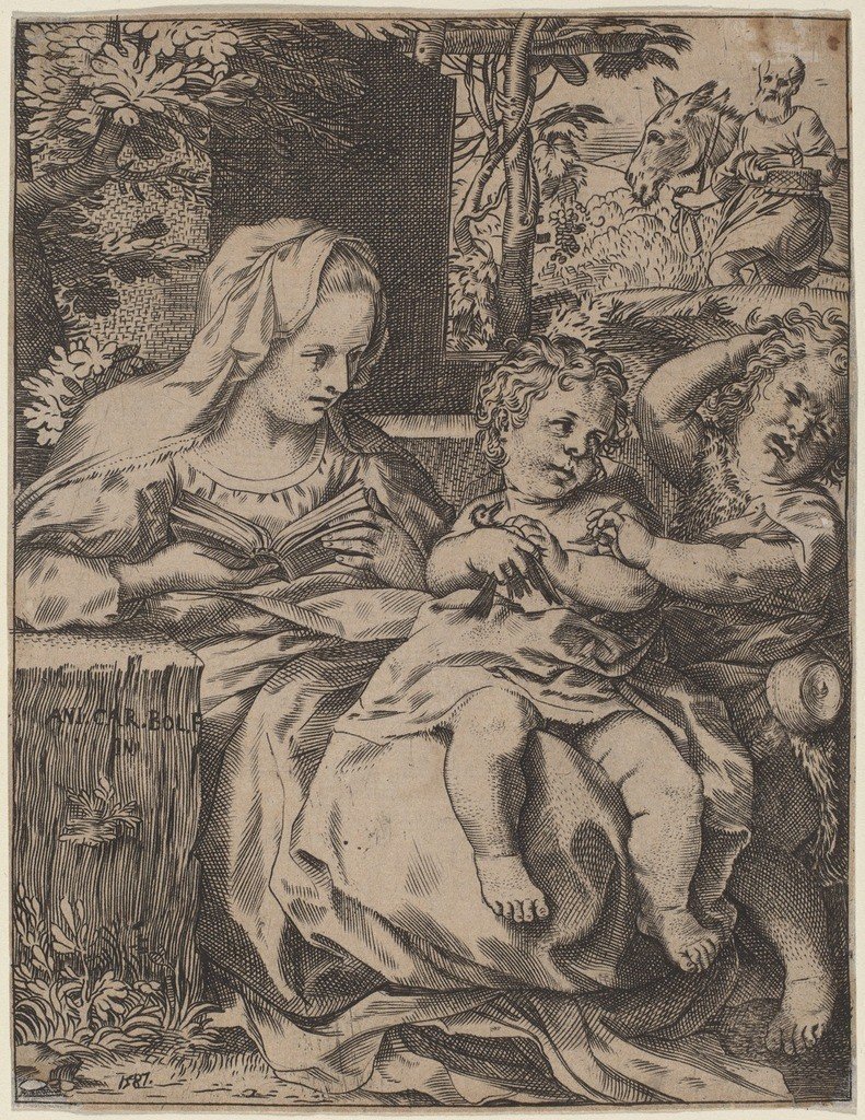 麦当娜的燕子 作者 Annibale Carracci