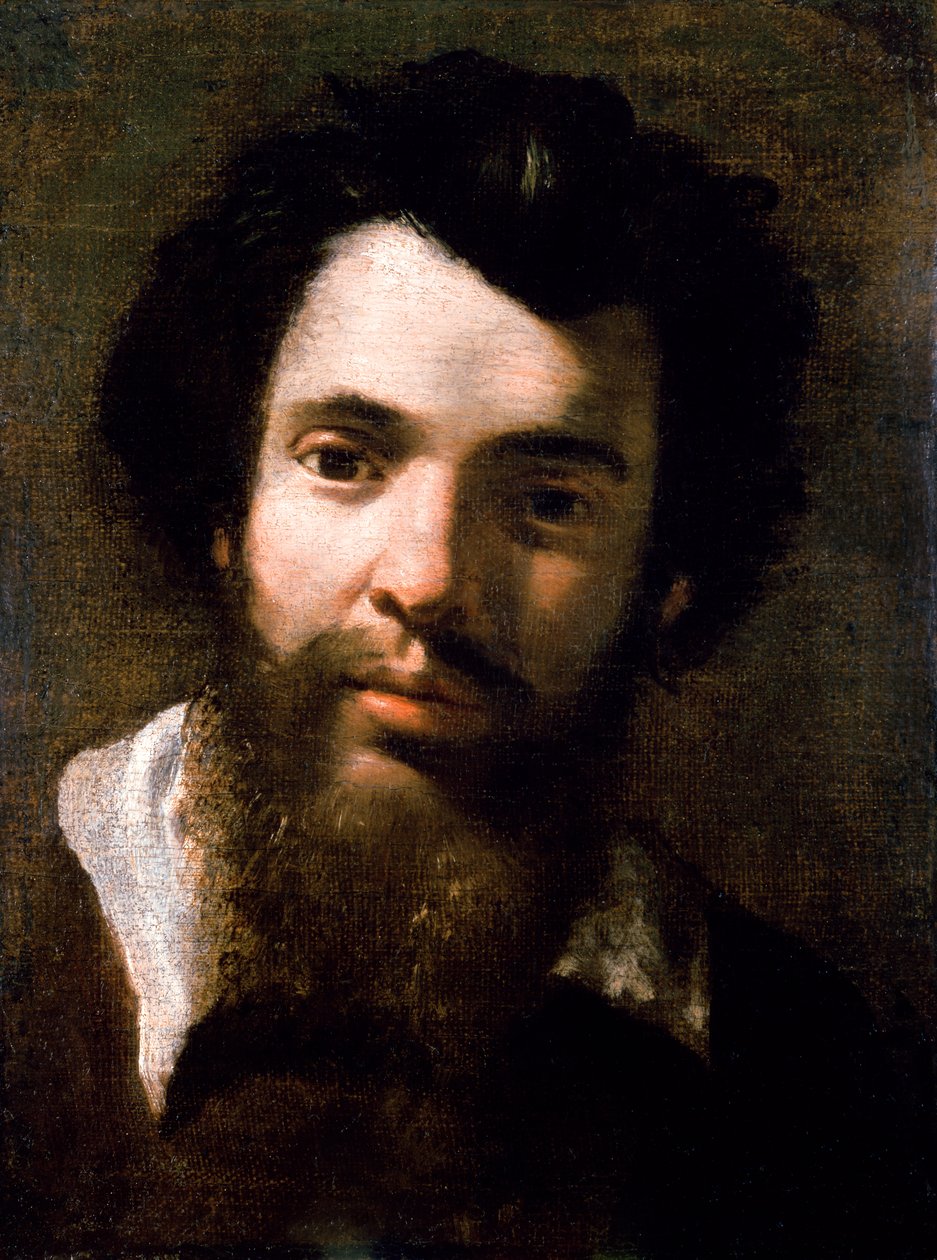 Agostino Carracci的肖像，艺术家的兄弟 作者 Annibale Carracci