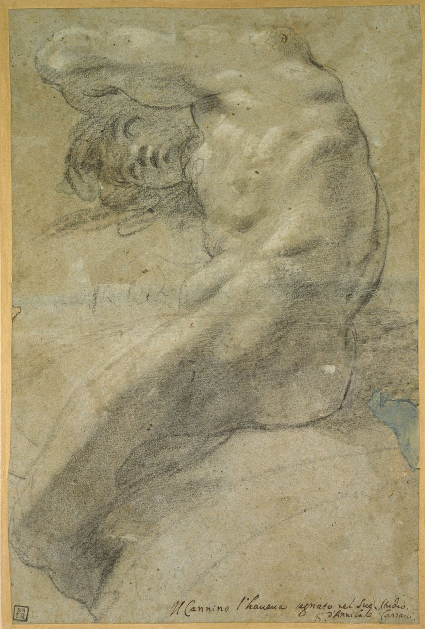 一个裸体男人的研究 作者 Annibale Carracci