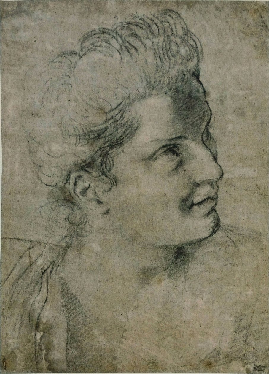 女人的头 作者 Annibale Carracci