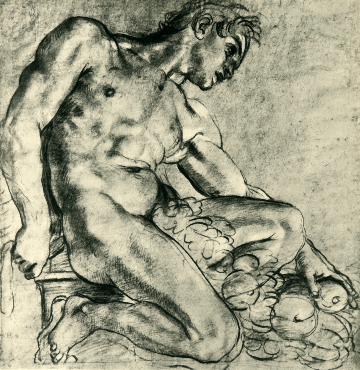 带花环的坐着的伊努多（1598-1599），1943年。 作者 Annibale Carracci