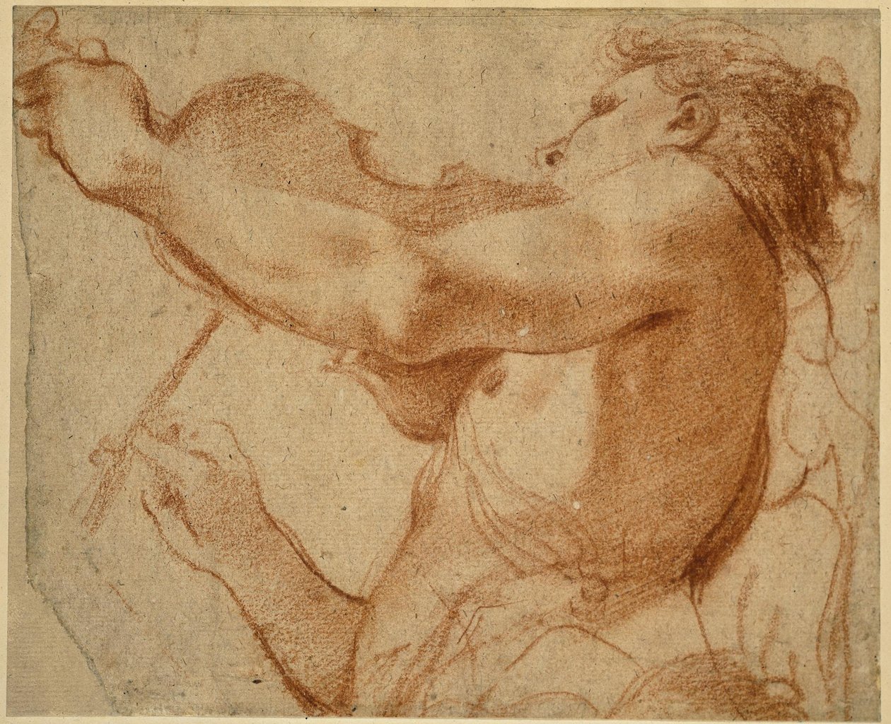 拉小提琴的天使 作者 Annibale Carracci