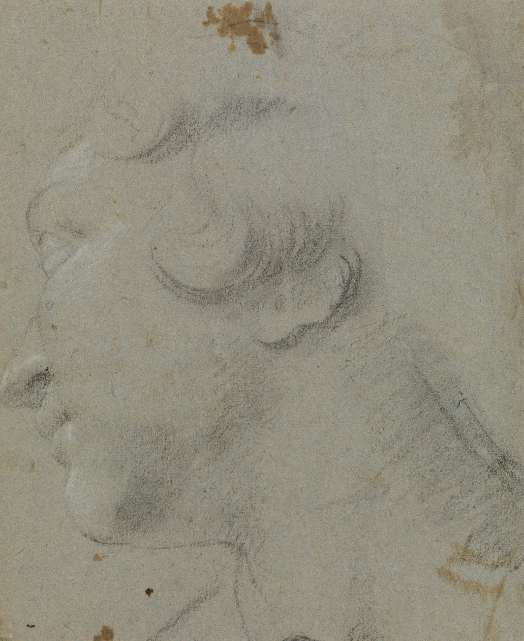 Carracci - r 圣凯瑟琳之首，RCIN 902115 作者 Annibale Carracci