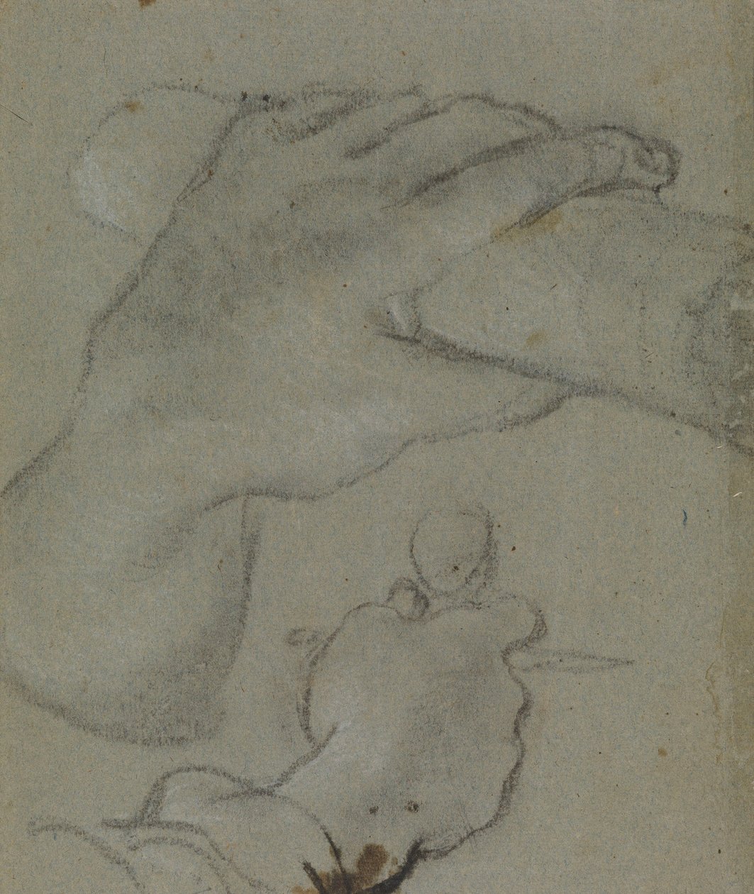 卡拉奇--圣约翰之手 v 研究，RCIN 902115 作者 Annibale Carracci