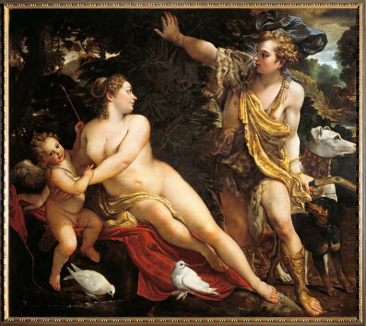 德国，维也纳，维纳斯和阿多尼斯 作者 Annibale Carracci