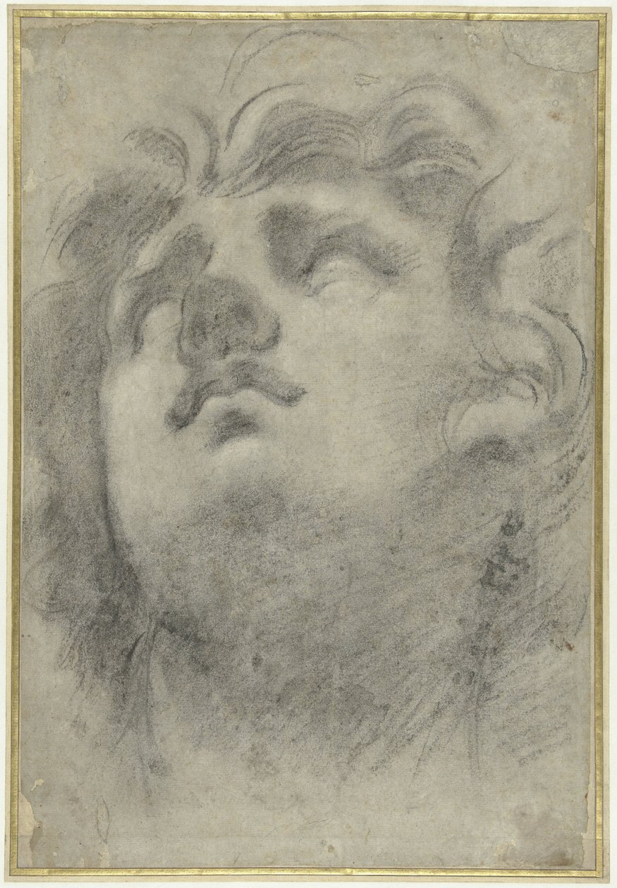 看到三纹龙的头部 作者 Annibale Carracci