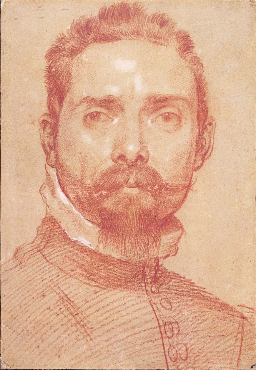 琵琶演奏者的肖像朱利奥·马斯切罗尼（Giulio Mascheroni），约1594年 作者 Annibale Carracci