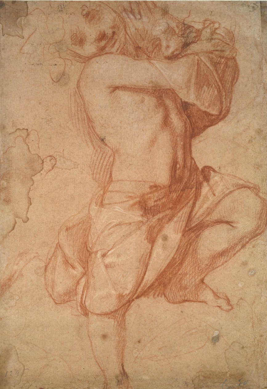 半裸的男孩，16世纪末 作者 Annibale Carracci