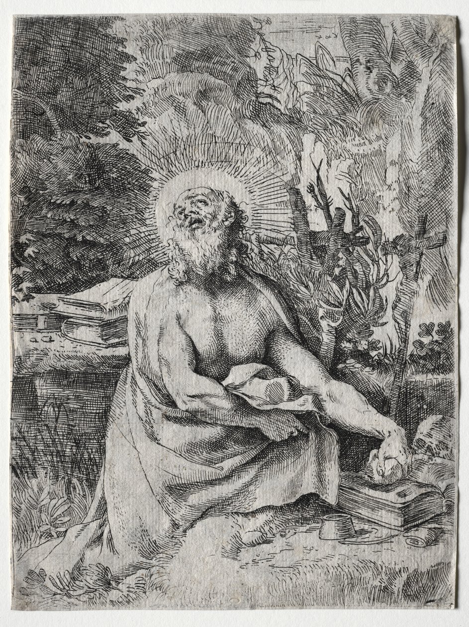 圣杰罗姆 作者 Annibale Carracci