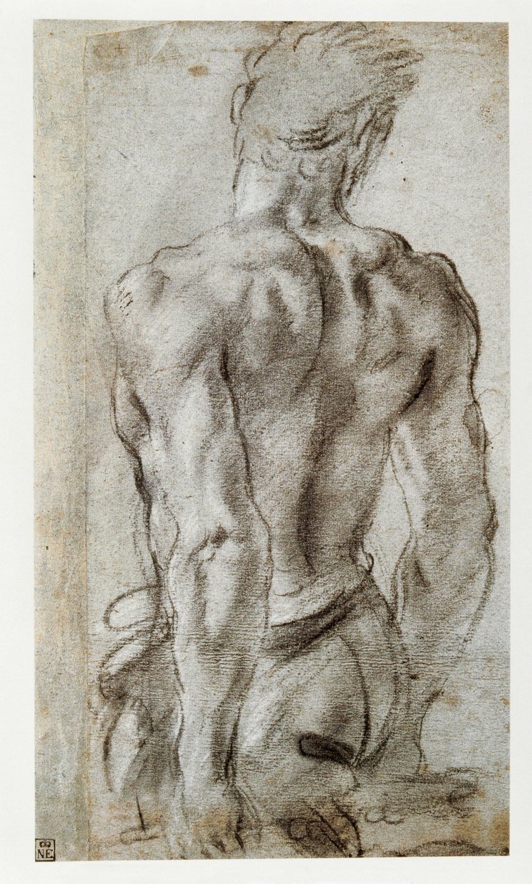 男性人物研究... 作者 Annibale Carracci