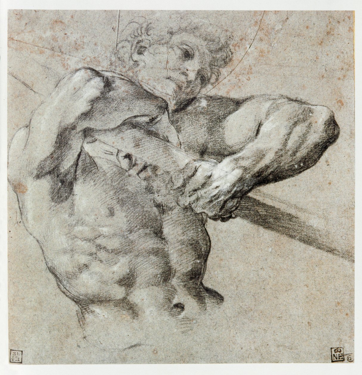 男性人物研究... 作者 Annibale Carracci
