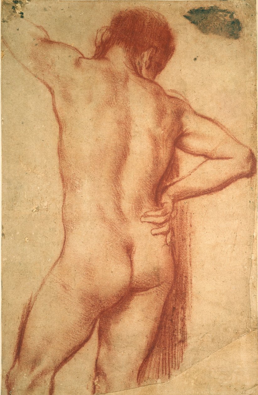 裸体人研究，17世纪 作者 Annibale Carracci