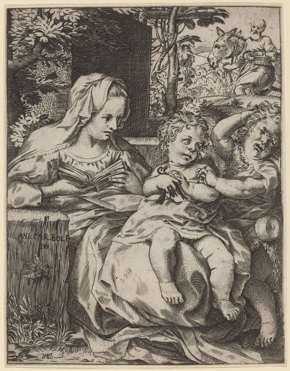 燕子圣母 作者 Annibale Carracci