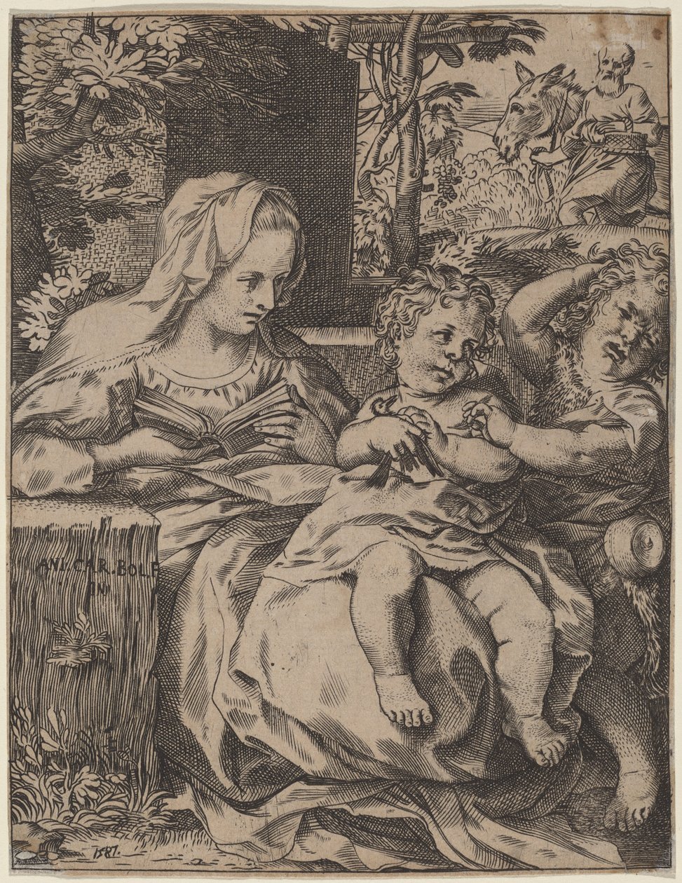 燕子圣母 作者 Annibale Carracci