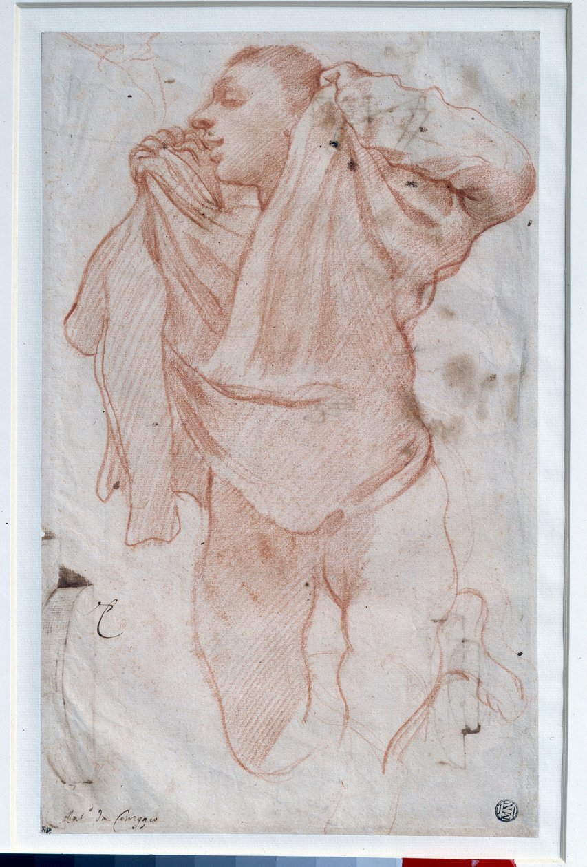 年轻男孩脱下衬衫 绘制Annibale Carracci dit le Carrache (1560-1609)的红色图画 太阳。0,35x0,22米 巴黎，卢浮宫博物馆 作者 Annibale Carracci
