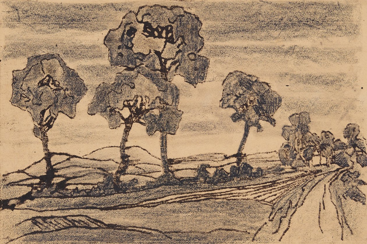 景观 作者 安妮·多尔舍因
