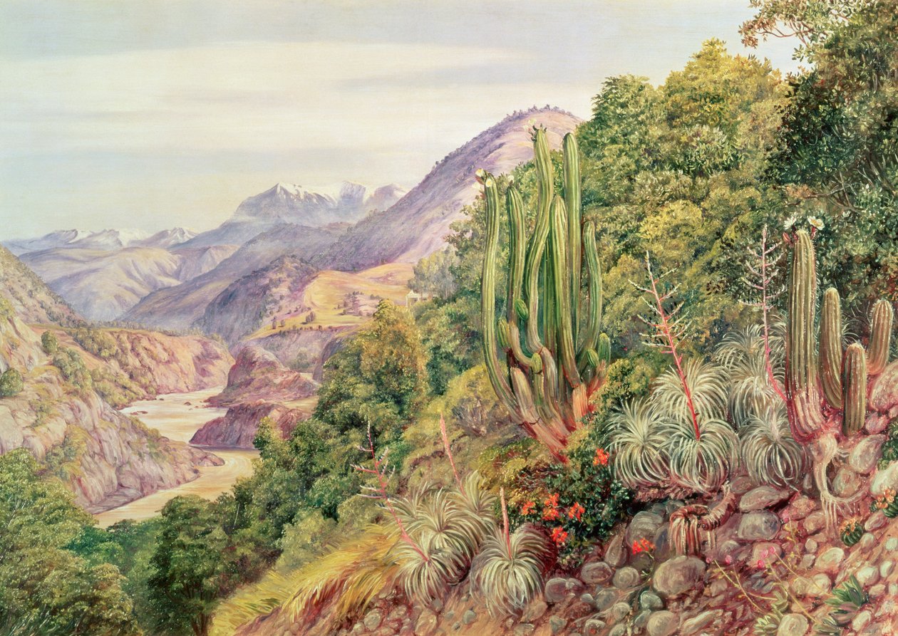 智利Cordellera的Languenas Streams of Languenas 作者 未知未知