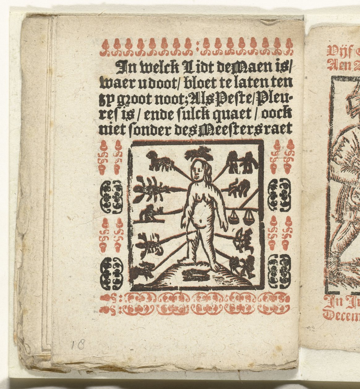显示人体放血部位的页面，1712 年
In welck Lidt de Maen is / waer u doot / bloet te laten ten zy grote noot; Als Peste / Pleures is / ende sulck quaet / oock niet sonder des Meestersraet（标题见实物） 作者 无名氏