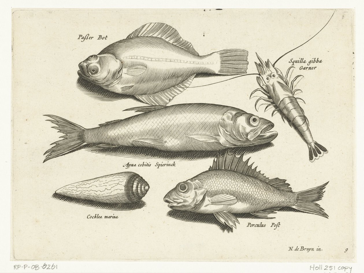 比目鱼、虾、胡瓜鱼和黄貂鱼
Libelivs varia Genera piscium complectens（系列名称）
淡水鱼、海鱼、蛙、甲壳类和海洋生物（系列名称） 作者 无名氏