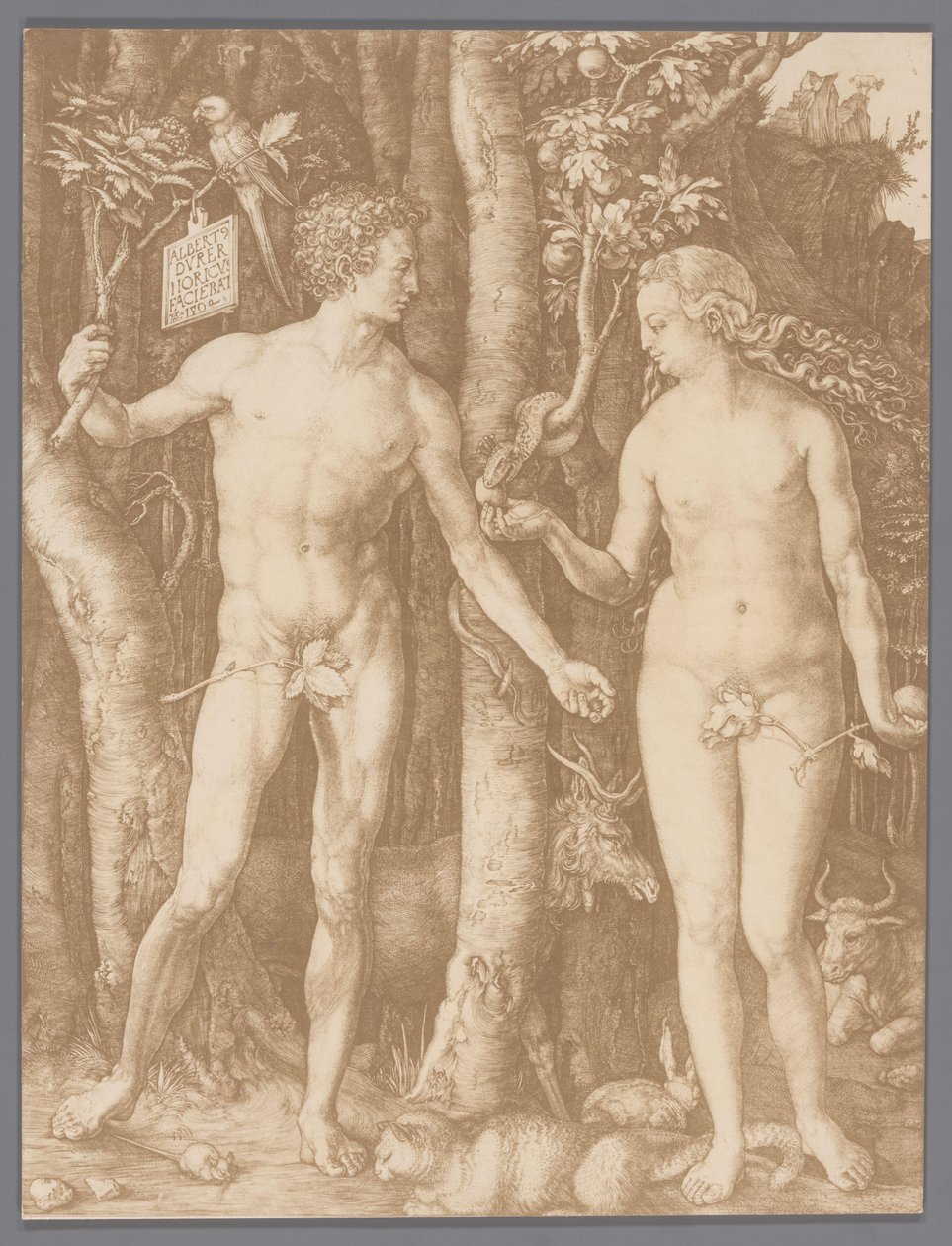 阿尔布雷希特·丢勒 (Albrecht Dürer) 雕刻的《亚当和夏娃》的照片复制品 作者 无名氏