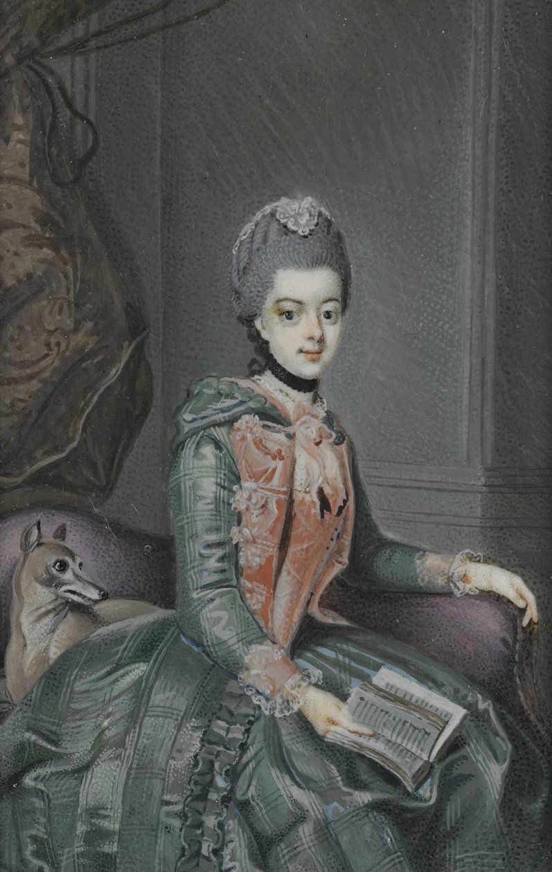 弗雷德里克-索菲亚-威廉明娜（Frederika Sophia Wilhelmina，1751-1820 年），普鲁士公主。威廉五世亲王的妻子 作者 无名氏
