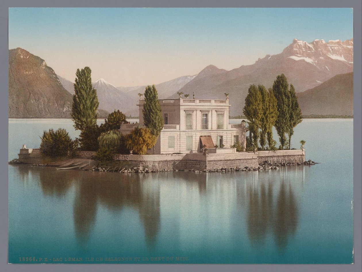 日内瓦湖萨拉尼翁岛的景色，背景是 Dents du Midi lac Léman, Ile de Salagnon et la Dent du Midi（物体上的标题） 作者 无名氏