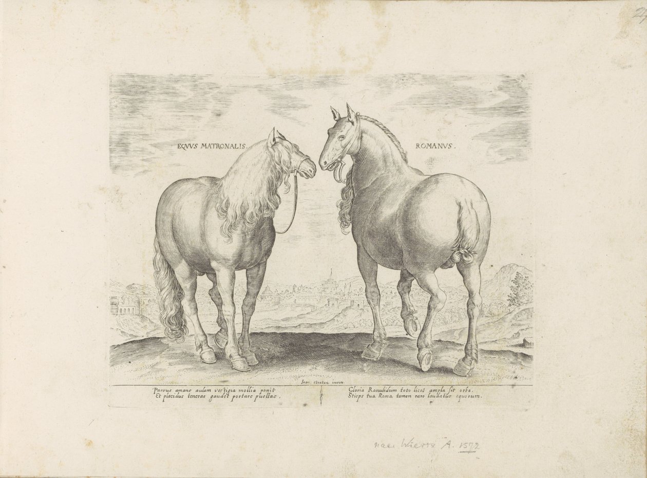 罗马的公马和母马
Equus Matronalis Romanus（物品上的标题）
来自奥地利唐璜皇家马厩的马种（系列标题）
Equile, in quo omnis generis generosissi: morum equorum ex varijs orbis partibus insignis delectus ( 作者 无名氏