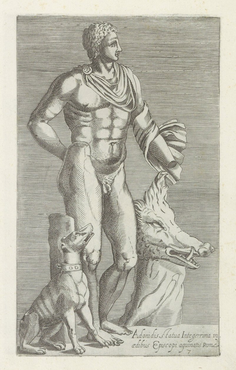 阿多尼斯与猎犬和野猪头的雕塑
Adonidis statua integerrima in aedibus Episcopi aguinatis Romae（物体上的标题）
罗马的古代雕塑（系列名称）
在公共场所可见的罗马古城雕像图标 作者 无名氏
