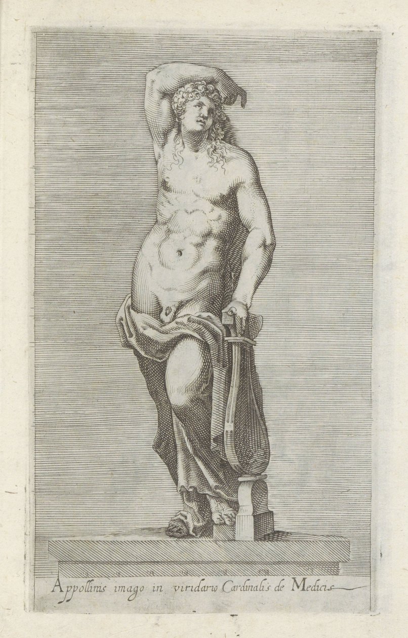 阿波罗雕塑
Appollinis imago in viridario cardinalis de Medicis（物品上的标题）
罗马的古代雕塑（系列名称）
Antiquarum statuarum urbis Romae quae in publicis locis visuntur icones（系列标题） 作者 无名氏