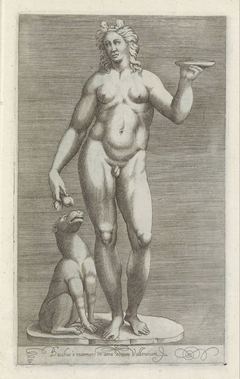 巴克斯雕像和一顶帽子
Bacchus è marmore in area aedium Vallensium（物品上的标题）
罗马的古代雕塑（系列名称）
Antiquarum statuarum urbis Romae quae in publicis locis visuntur icones（系列标题） 作者 无名氏