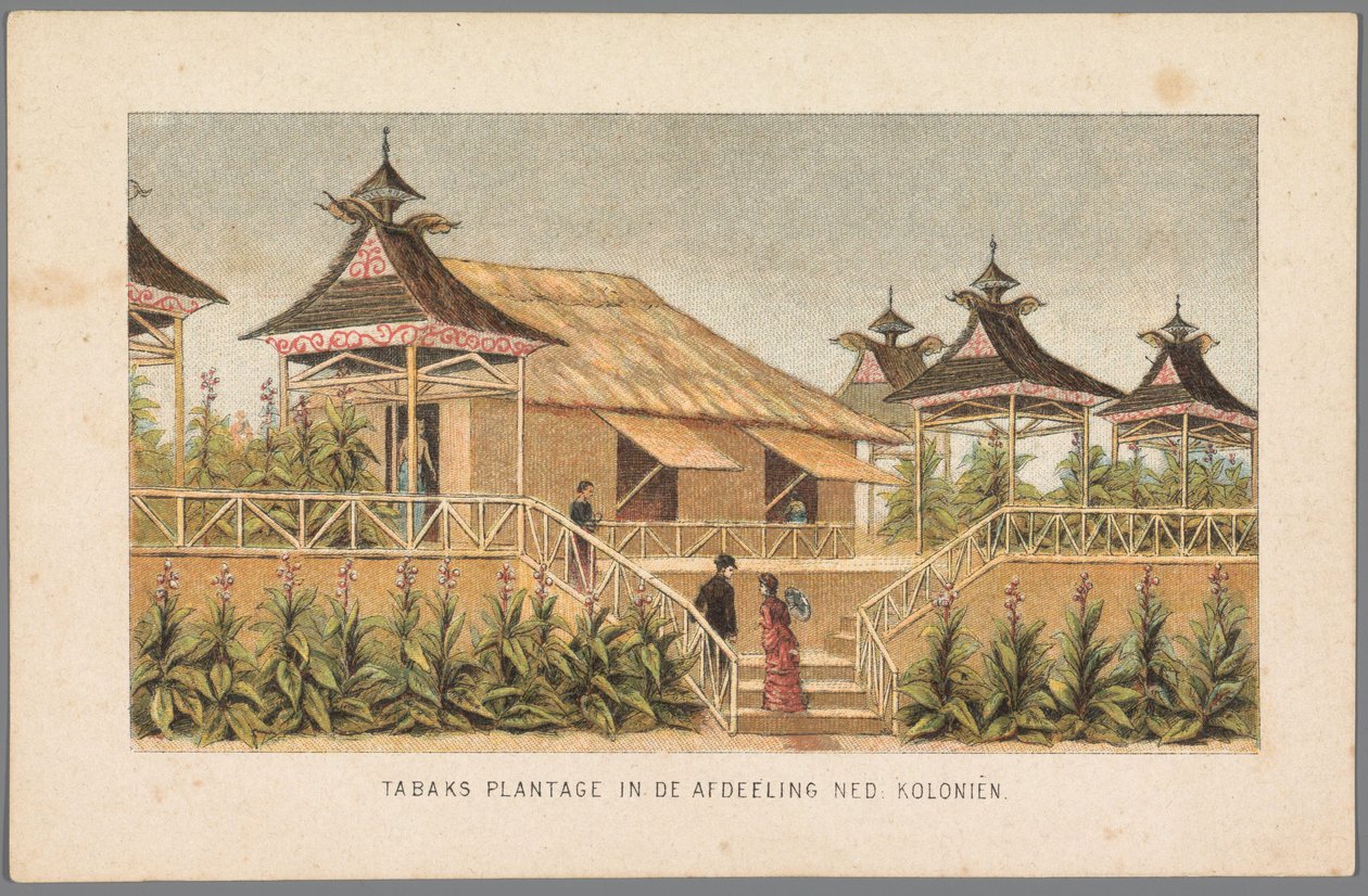 阿姆斯特丹世界博览会上的荷兰殖民地烟草种植园，1883 年
奈德：殖民地 "部分中的烟草种植园（实物上的标题）
1883 年的阿姆斯特丹记忆（展品上的系列名称） 作者 无名氏