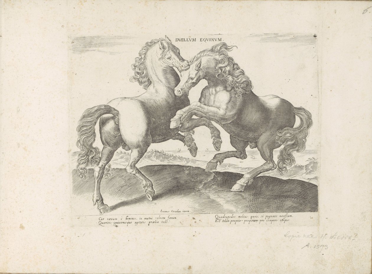 两个小房间
Duellum Equinum（物品标题）
Equile，in quo omnis generis generosissi: morum equorum ex varijs orbis partibus insignis delectus (...) （关于对象的系列标题） 作者 无名氏
