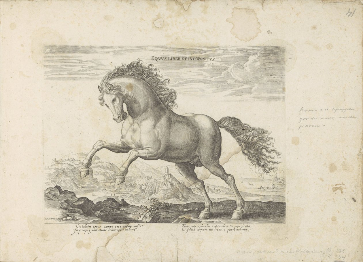 野马
Equus Liber et Incopositus（关于物品的标题）
Equile，in quo omnis generis generosissi: morum equorum ex varijs orbis partibus insignis delectus (...) （关于对象的系列标题） 作者 无名氏