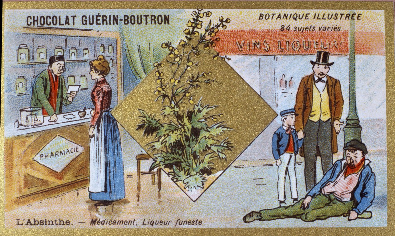 苦艾酒：药物和致命的利口酒。 雕刻（彩色）。 Guerin-Boutron 巧克力的广告色版印刷，19 世纪后期。 Illustree 植物系列。 作者 匿名匿名