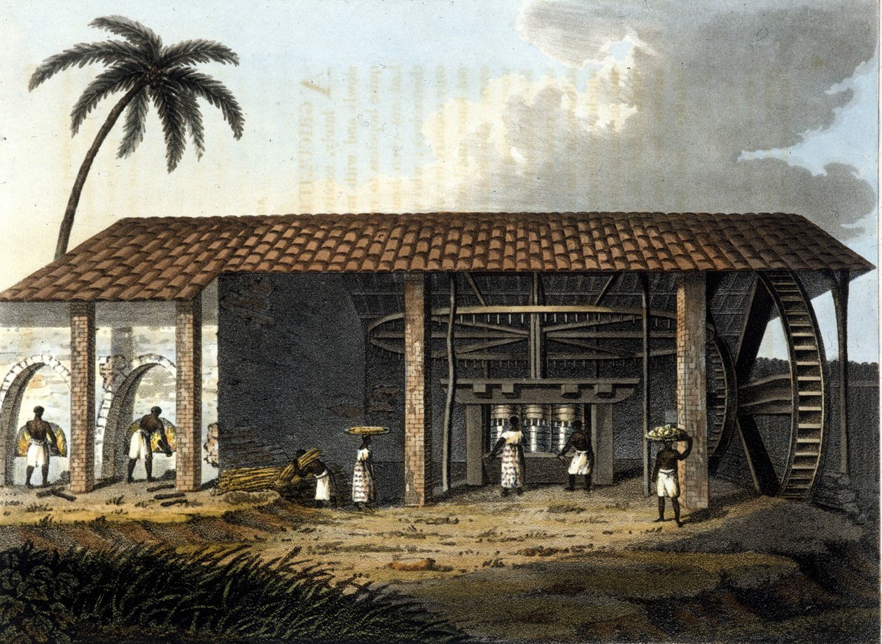 Brazil, sugar factory - in “” The Old and Modern Costume”” 1819 - 1820 by Dr. Jules Ferrario, ed Milan. 作者 匿名匿名