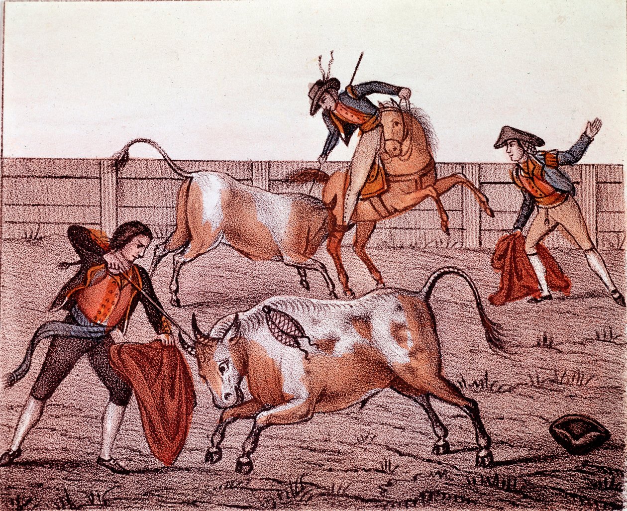Bulls Hunting Scene（斗牛）18世纪水彩私人收藏 作者 匿名匿名