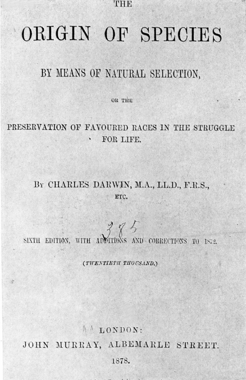 查尔斯·达尔文 (1809 - 1882) 所著《物种起源》一书的封面。 1878 年版。 作者 匿名匿名