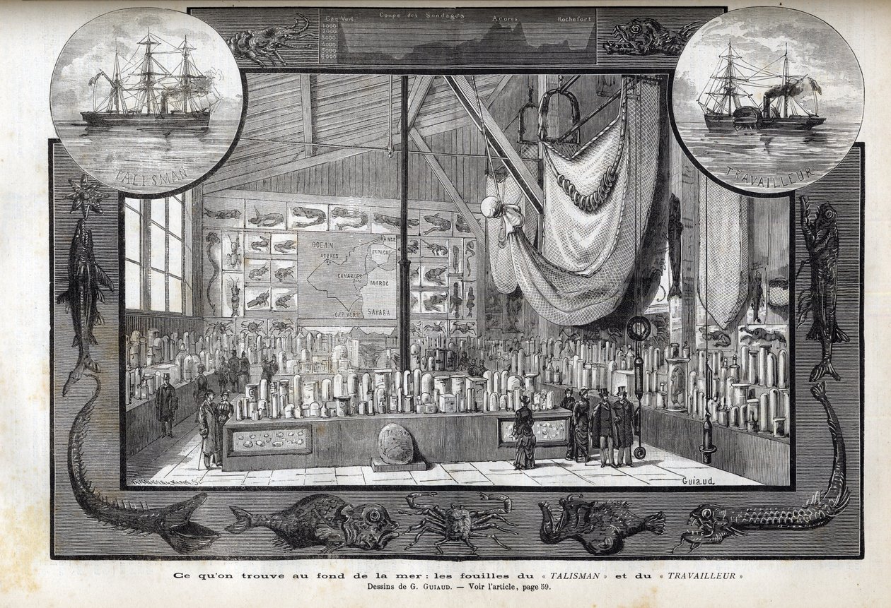 在巴黎自然历史博物馆展出1880年 "工人 "号和 "护身符 "号的科学考察期间形成的收藏品。 作者 匿名匿名