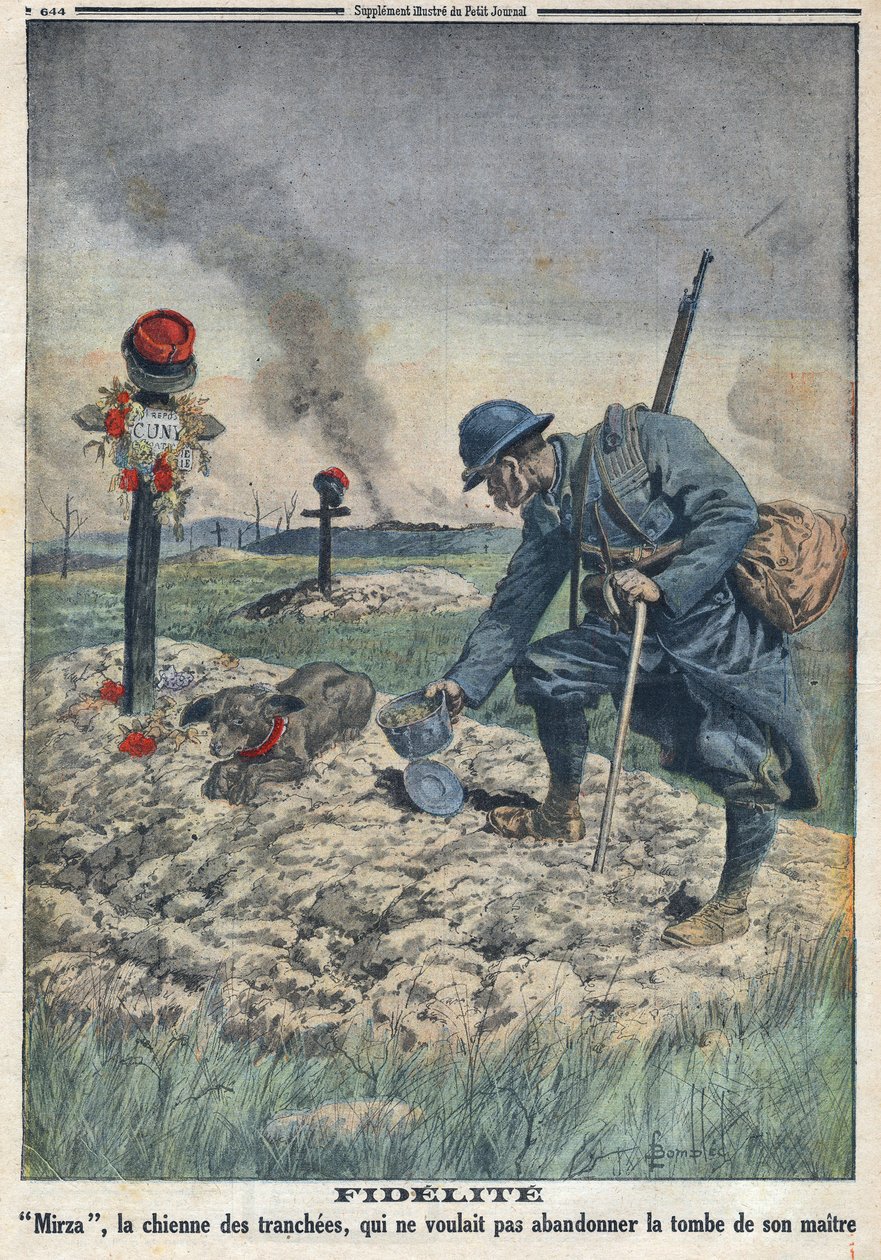 1914-1918年第一次世界大战（第14-18战）。一只狗拒绝放弃战壕里死去主人的坟墓。载于《小报》，1916年9月10日。私人收藏 作者 匿名匿名