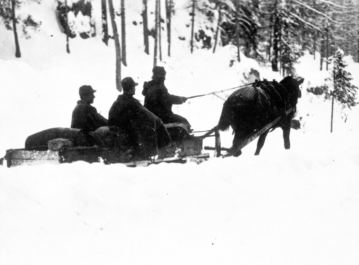 First World War, Carso Front: Italian alpine hunters (alpino or alpini) carrying food on sledges 作者 匿名匿名