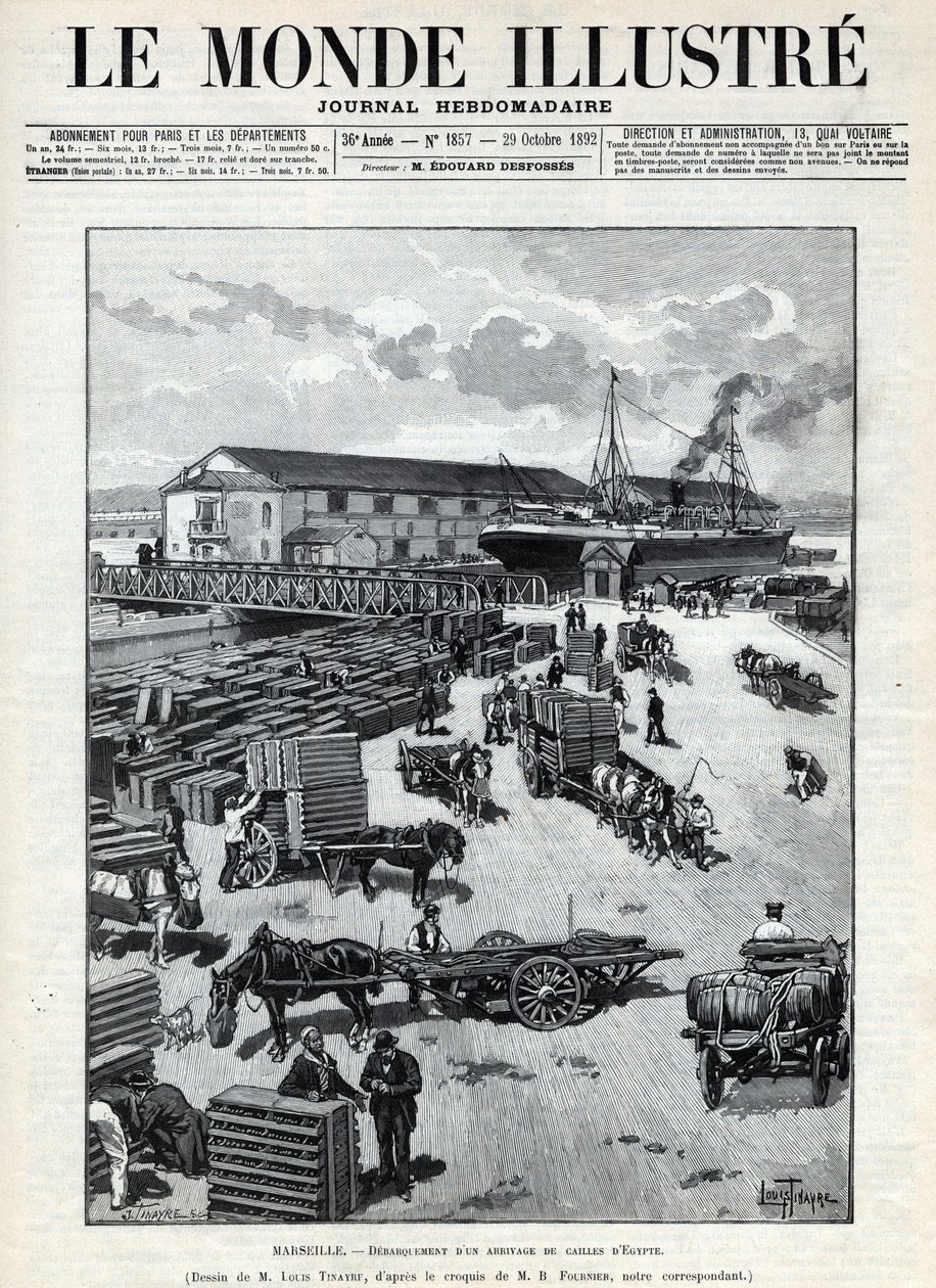 海上贸易：从埃及运来的鹌鹑在马赛港的叫声。一份报纸。1892年的 "Le monde illustrstree "中的版画。私人收藏。 作者 匿名匿名