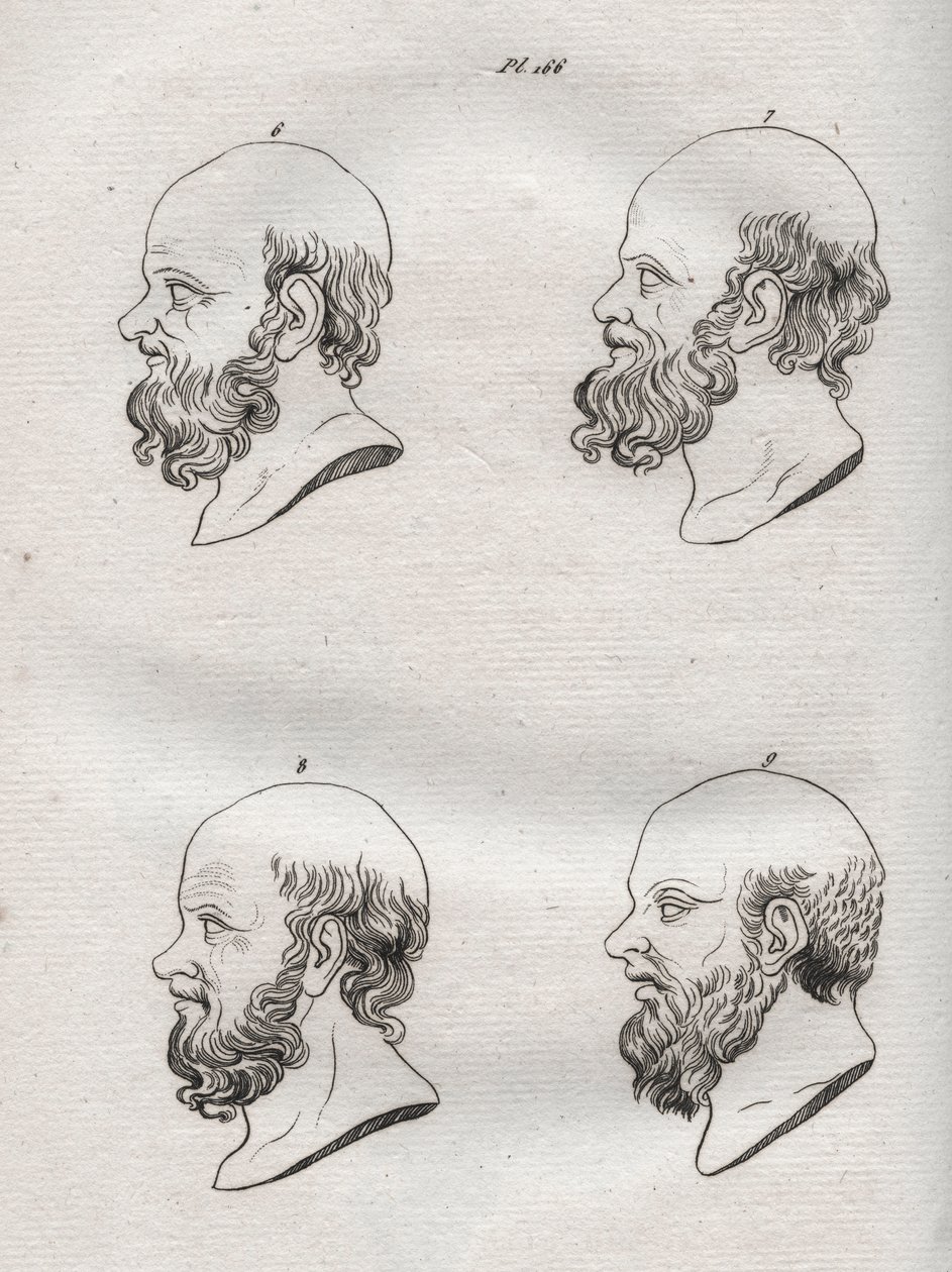 Physiognomy - Physiognomony - Several heads of the Greek philosopher Socrates (ca. 469 BC-399 BC) (Bust of Socrates (ca 469 BC-399 BC), Athenian philosopher) engraving of 1808 in “The art of knowing men through physiognomy” by Johann Gaspar (Gaspard) Lavat 作者 匿名匿名