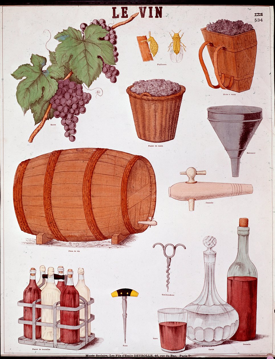 Plate illustrated on the art of making wine and on oenology: grape, funnel, cinnamon, basket and extractor, piece of wine, corkscrews (corkscrew), bottle, carafe, drill and wine case. Engraving of the 19th century Private Collection 作者 匿名匿名