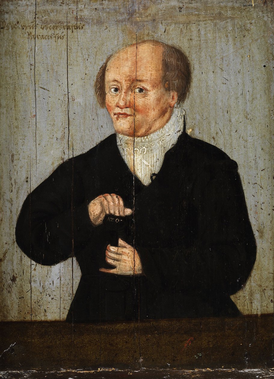 帕拉塞尔斯医生肖像（Philippus Theophrastus Aureolus Bombastus von Hohenheim 作者 匿名匿名