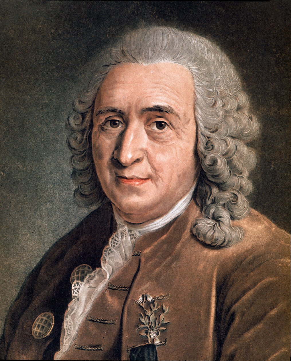 查尔斯-林恩(Carl von Linne, Linneus 1707 - 1778)的肖像，瑞典博物学家 无名画。18世纪。米兰，私人收藏 作者 匿名匿名