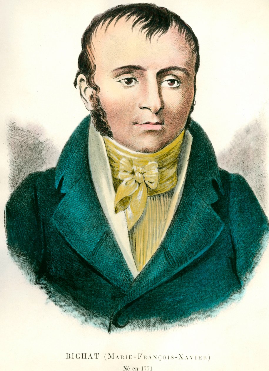 Francois Xavier Bichat (1771-1802)法国医生的肖像。19世纪的雕版画。私人收藏 作者 匿名匿名