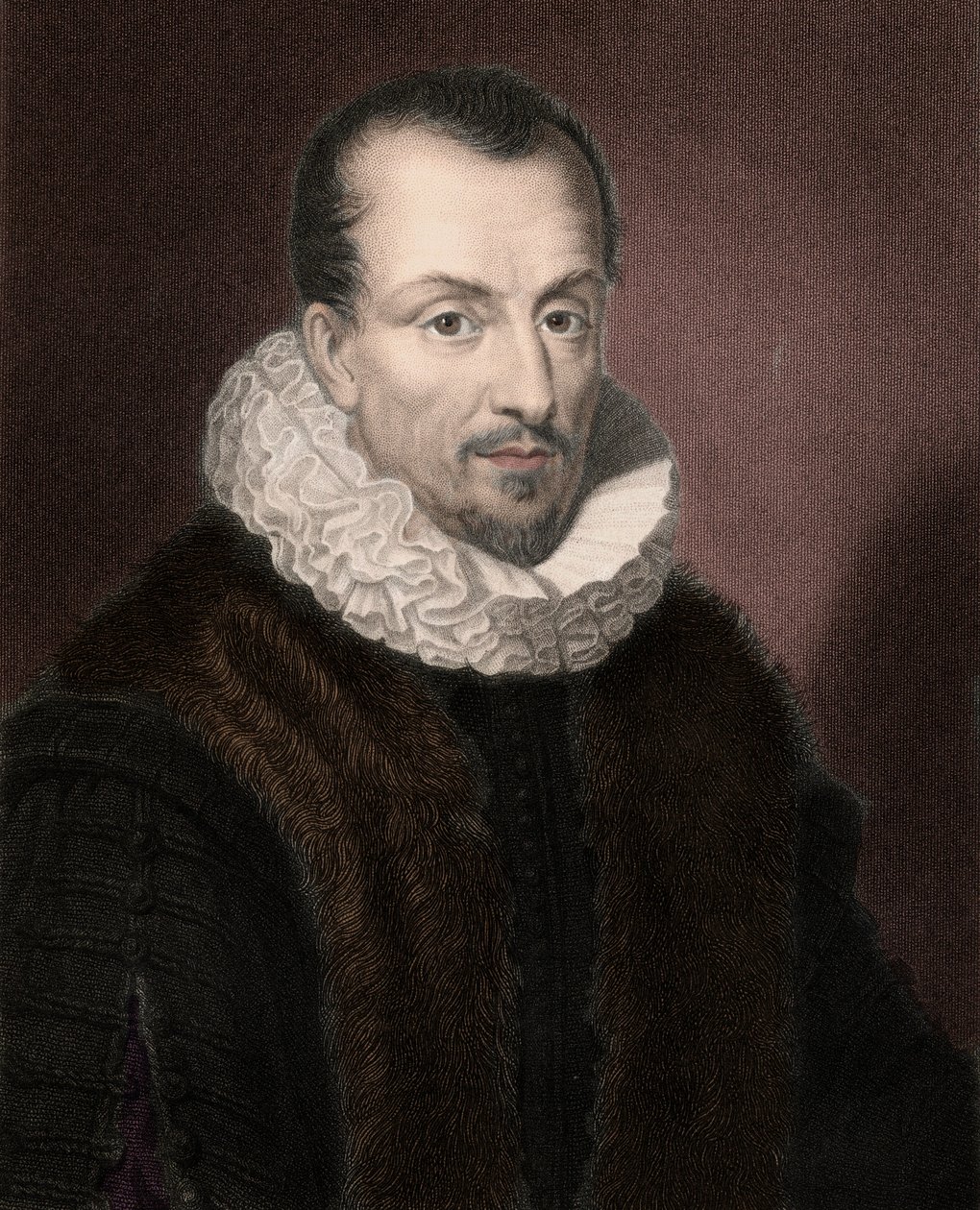 雅克-奥古斯特（Jacques-Auguste）的肖像，作者是图（Thuanus）（1553-1617），法国历史学家、图书收藏家和巴黎议会主席。 作者 匿名匿名