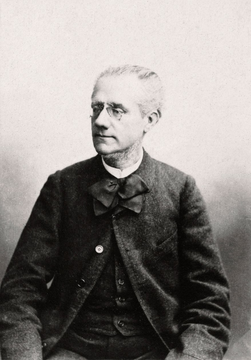 路易-尤金-普伊莱（1835-1905）的肖像 律师，Privee收藏品 作者 匿名匿名